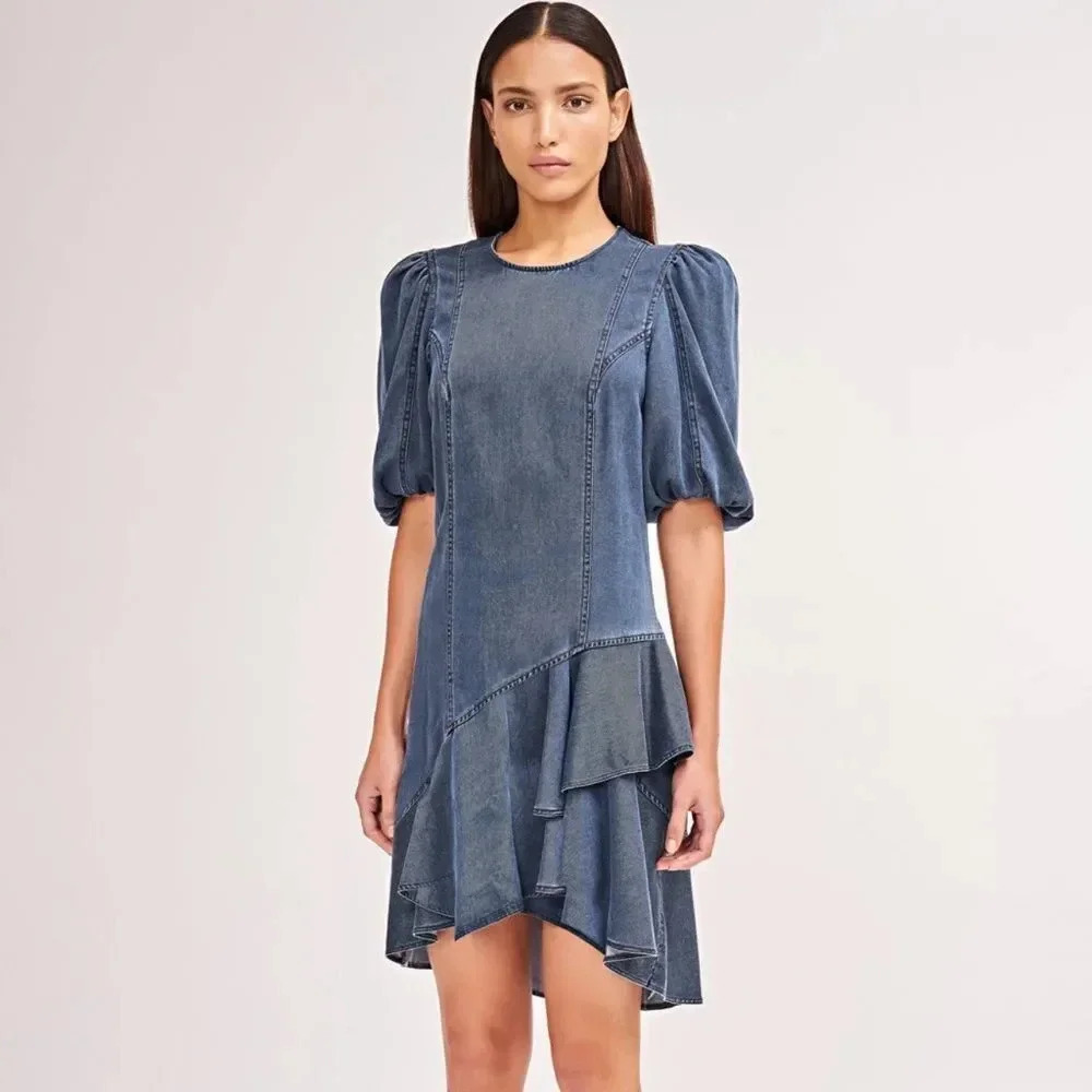 Amur Women's Blue Denim Emery Knee Length Dress‎ size 2